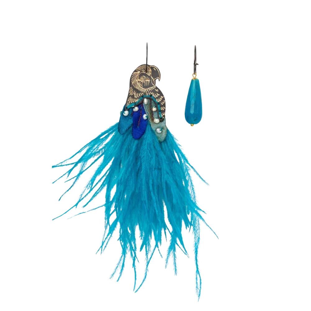 Collection cassiopeia