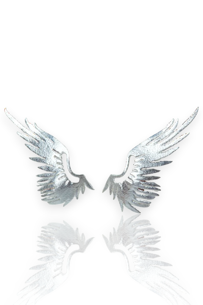 Silver Angel Wing Ear Climbers